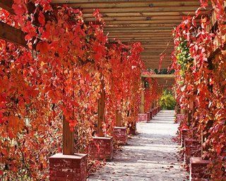 Beijing Jinyu Badaling Hot Spring Resort Xiaohetun Экстерьер фото